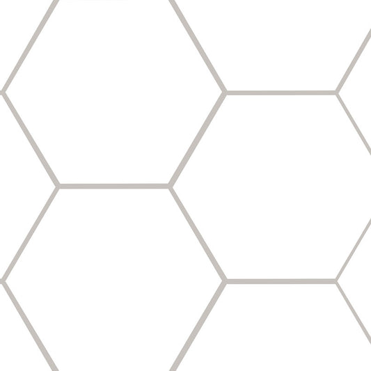 Hexley Ecru Hexagon Tile